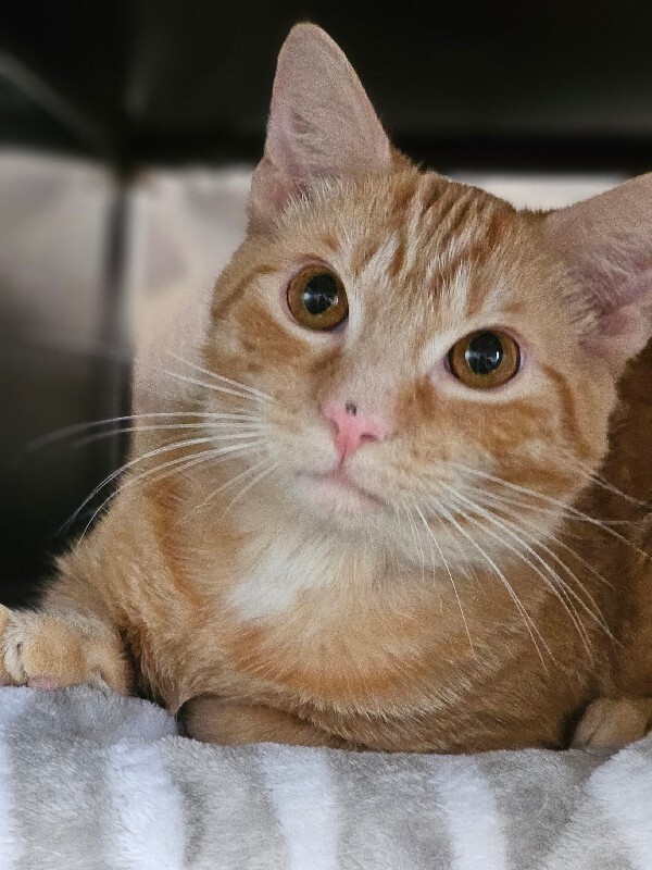 Learn More About Aquarius 1000016461