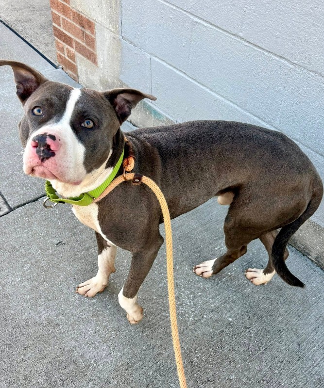 603963379 10129906424113265 7967052640086239486 n