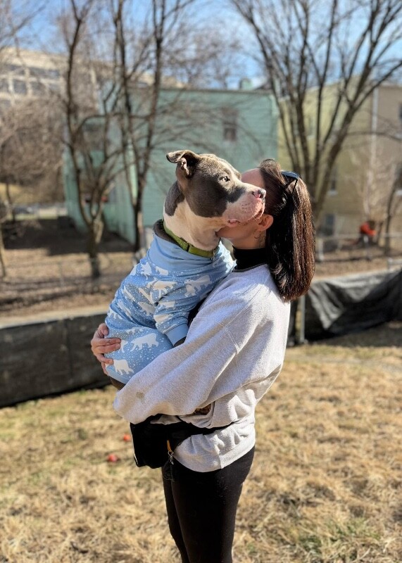 View Pewee the Dog Photo #4