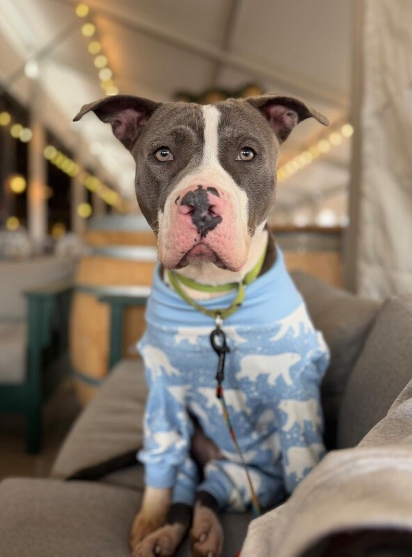 622710339 122151036632712597 7950751750662099239 n