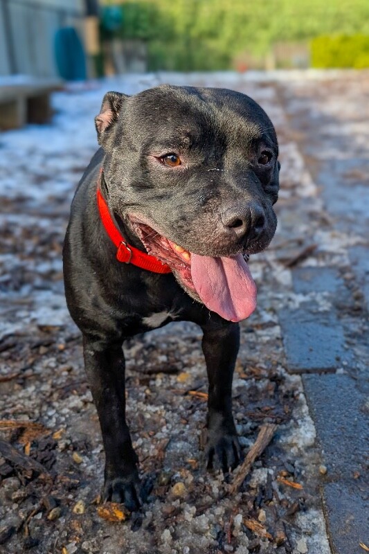 PXL 20251217 153117718