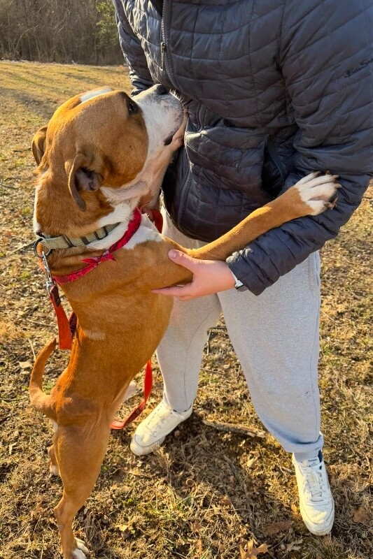 View Bloop the Dog Photo #9