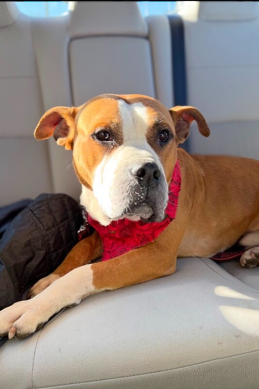 Learn More About Bloop 619348360 122119440597087650 4507981159995812045 n