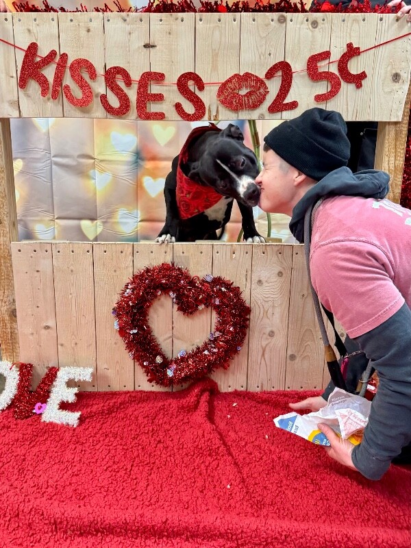 View Scoot the Dog Photo #7