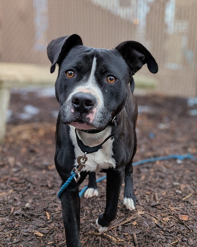 PXL 20251212 195406719 2