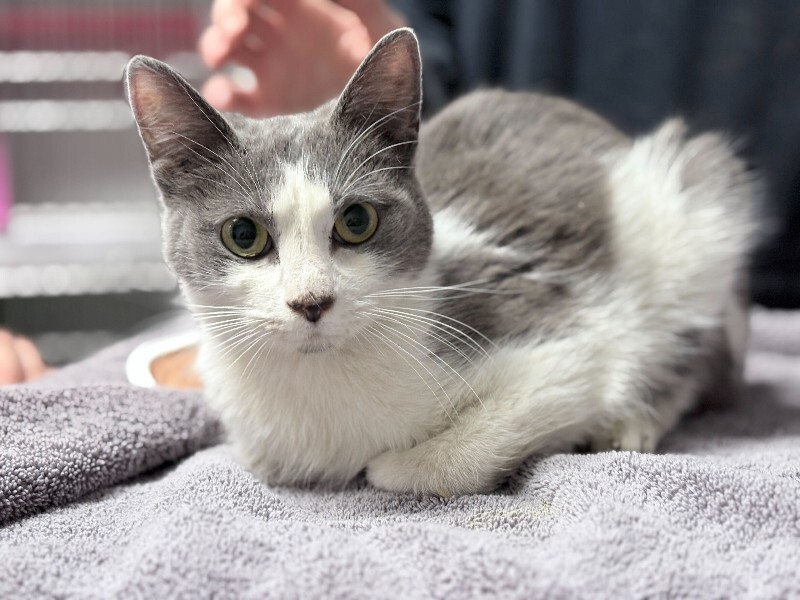 Learn More About Mickey Mouse IMG 0332