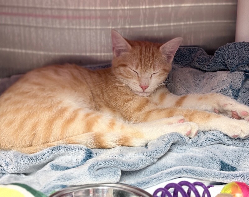 Learn More About Laundromat IMG 0345