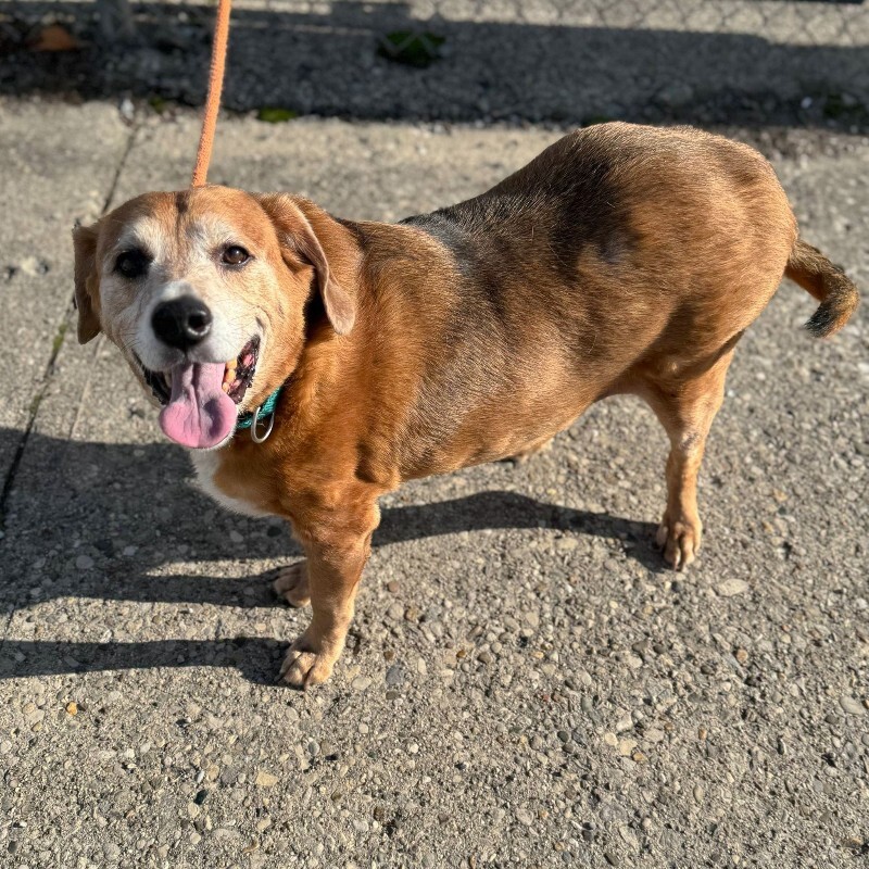 603775864 10238828315437098 4701878127756149651 n 2