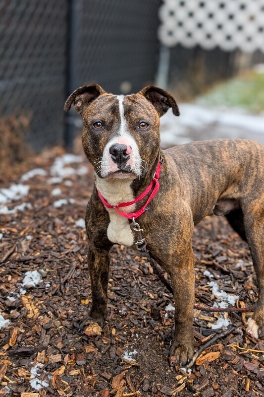 PXL 20251212 192301175.MP