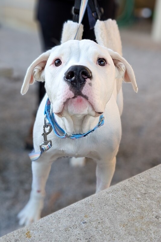 PXL 20251217 211837771