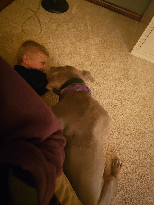 View Whetsel the Dog Photo #12