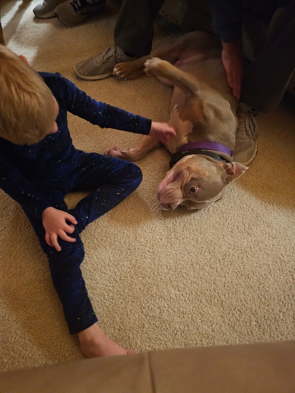 View Whetsel the Dog Photo #11