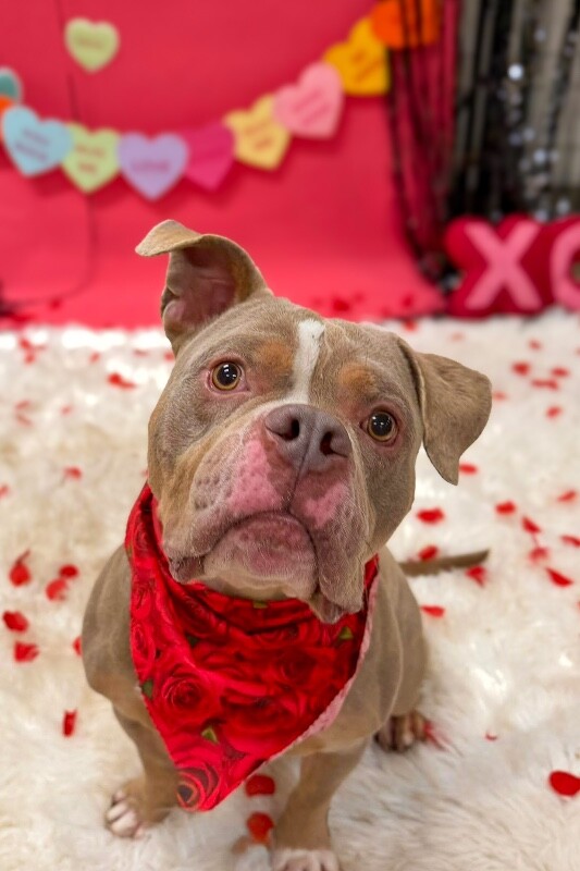 Learn More About Whetsel 619264485 803455159414533 8014878942803911113 n