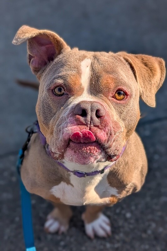 PXL 20260118 172856210.PORTRAIT