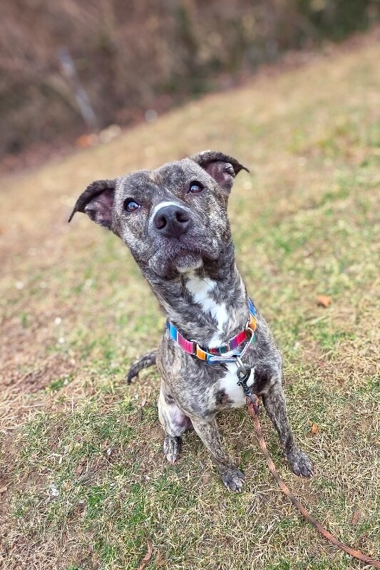 Learn More About Fanny 619047620 10215223129247052 3189325255733693735 n