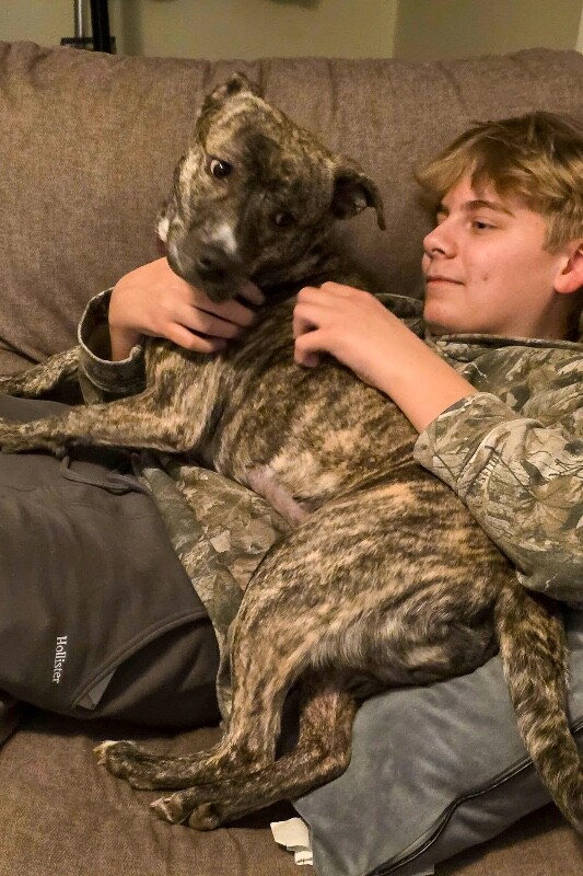 View Franny the Dog Photo #5