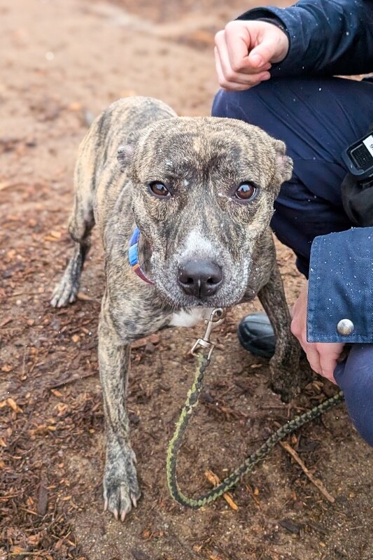 Learn More About Fanny PXL 20251213 163125918