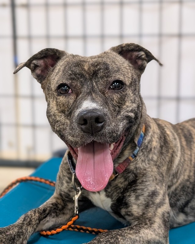 PXL 20260201 170853226.PORTRAIT 2