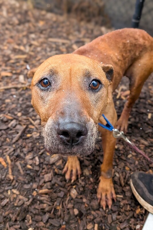 PXL 20251213 162916579