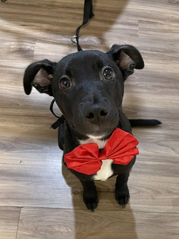 606020981 1459834535759727 3627892405448108945 n 2