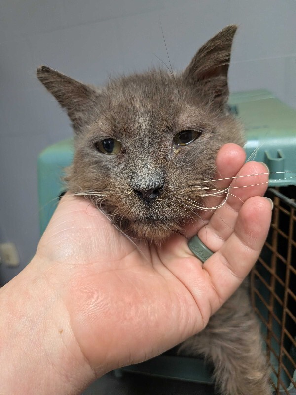 PXL 20251214 223513425