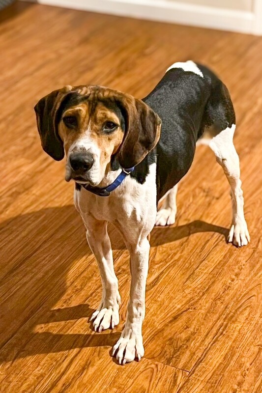 600225429 122164168952785041 4936536632978302826 n