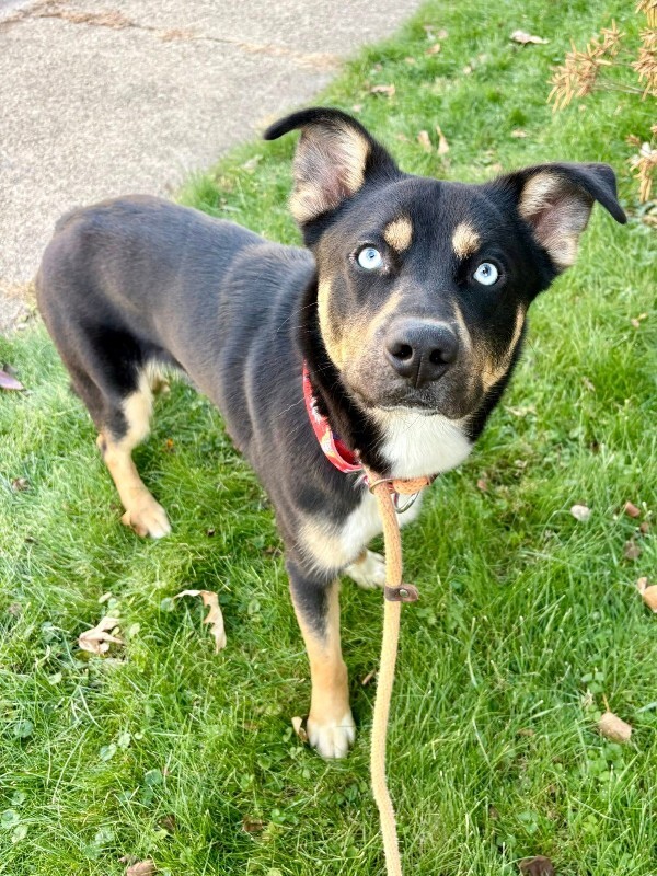 605237983 10129906423349795 3862660193535788150 n