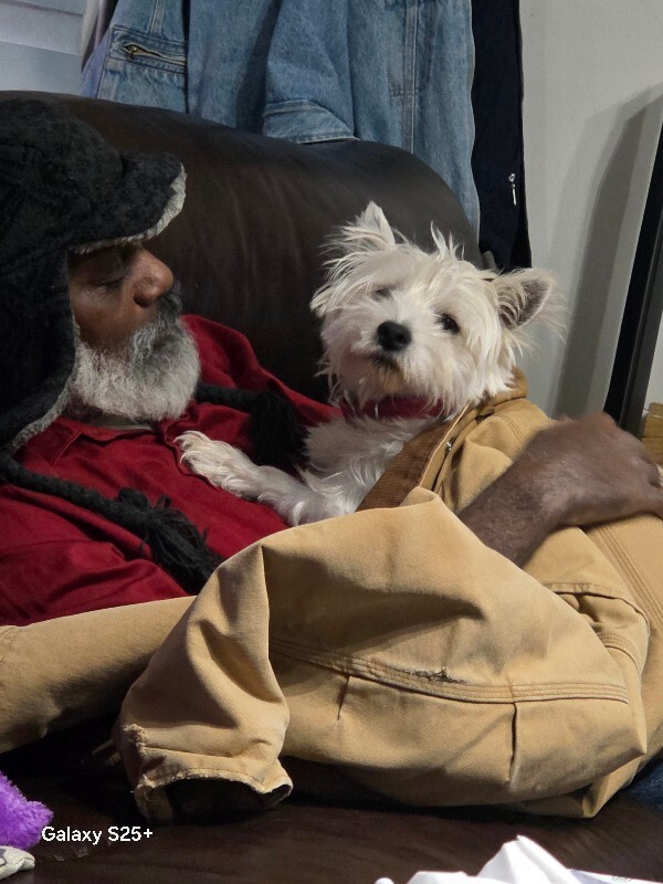 Learn More About this dog 20251215 1714162