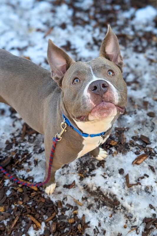 Learn More About Pony PXL 20251217 201557713