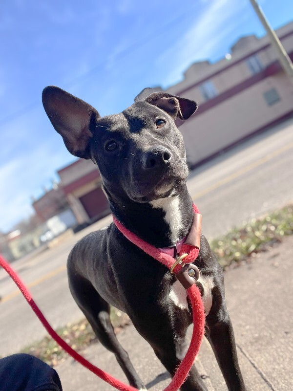 603878570 10215044438300065 3885028366769324423 n 2