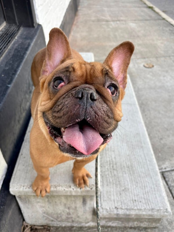 Learn More About Marilyn 604589750 10129906425620245 7467583457150085284 n