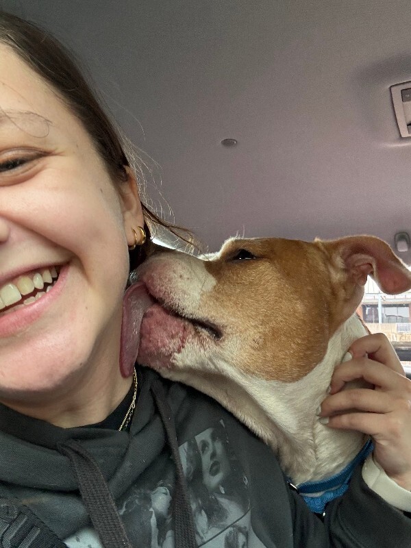 View Chalupa the Dog Photo #10