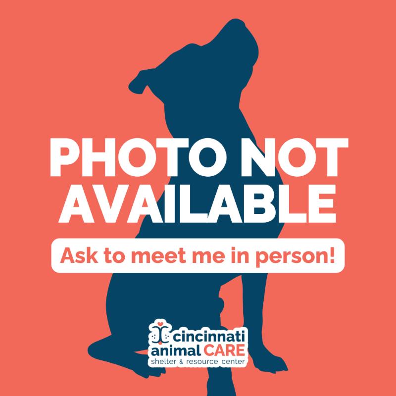 Learn More About Carla Cruelty Case Photo not available