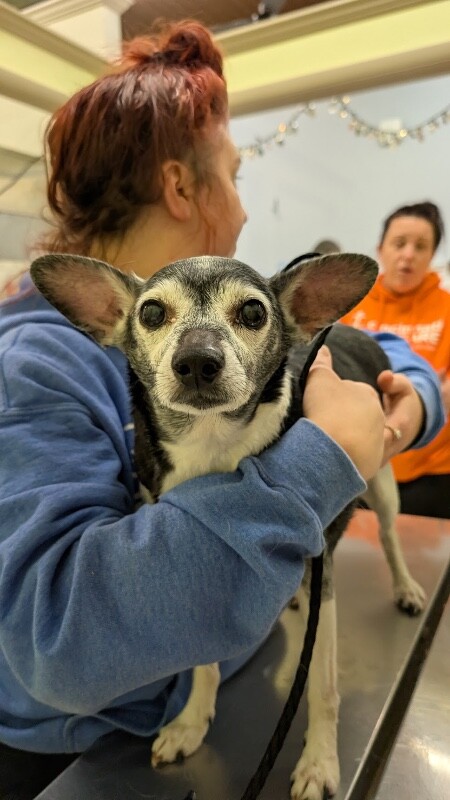 Learn More About Mahali PXL 20251218 224022919