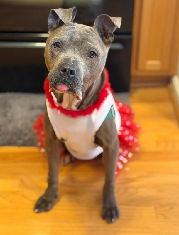 View Cold Spring the Dog Photo #12