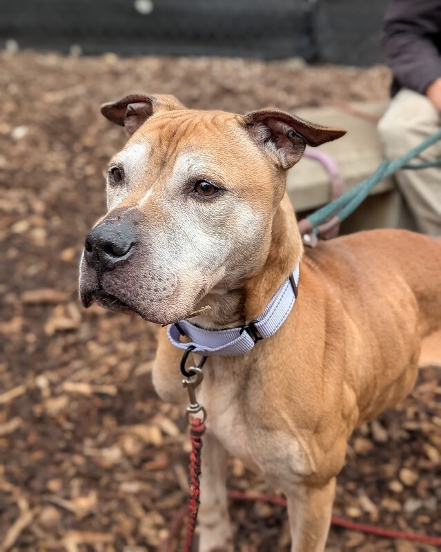 PXL 20251223 155952977.PORTRAIT 2