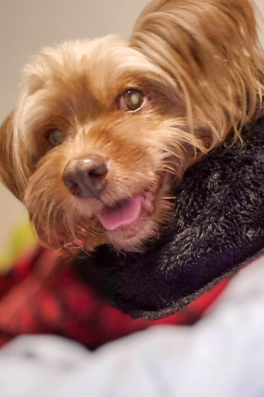 605531868 10164916697559050 8381015599738552252 n.jpg