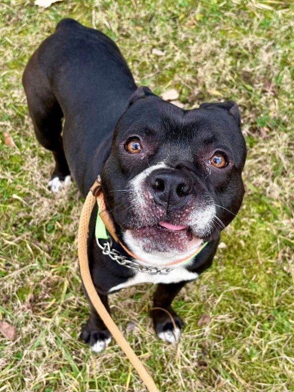 607119243 10130000795866515 4636875562671547155 n