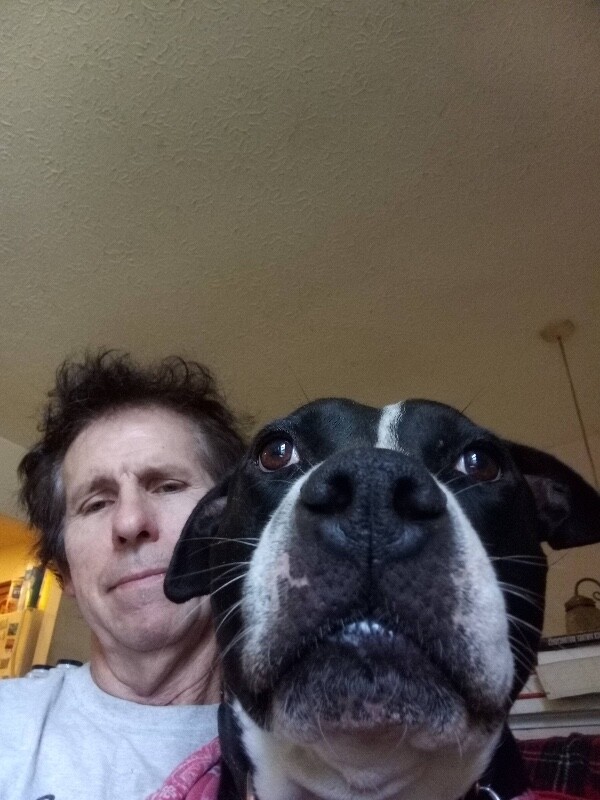View Hawkeye the Dog Photo #12