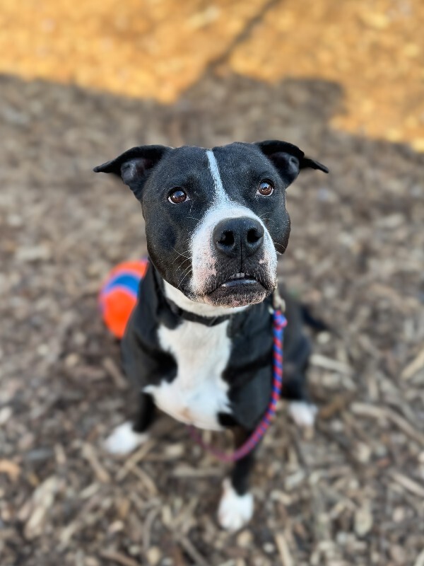 Learn More About Hawkeye IMG 7769 2