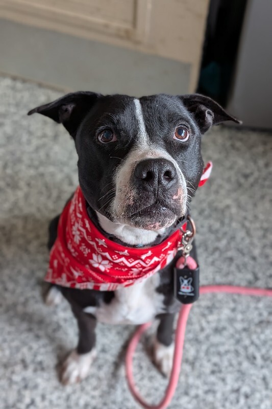 PXL 20251223 154657227.PORTRAIT 2