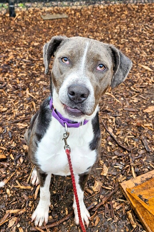 616173642 10164384714324560 7343202086344721816 n