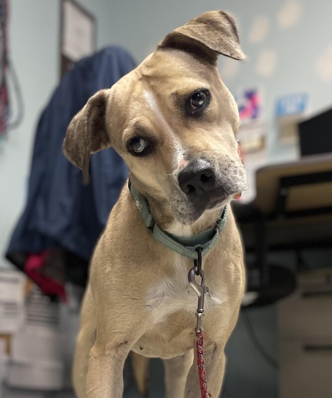 Kendra Scott close up