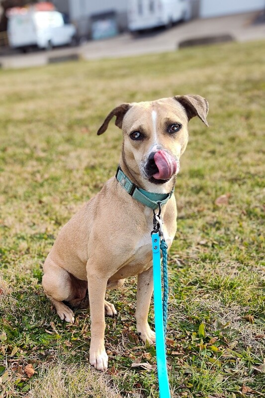 original f7debebd 6e8a 47c7 a592 30df8263be19 IMG 20260113 100615847