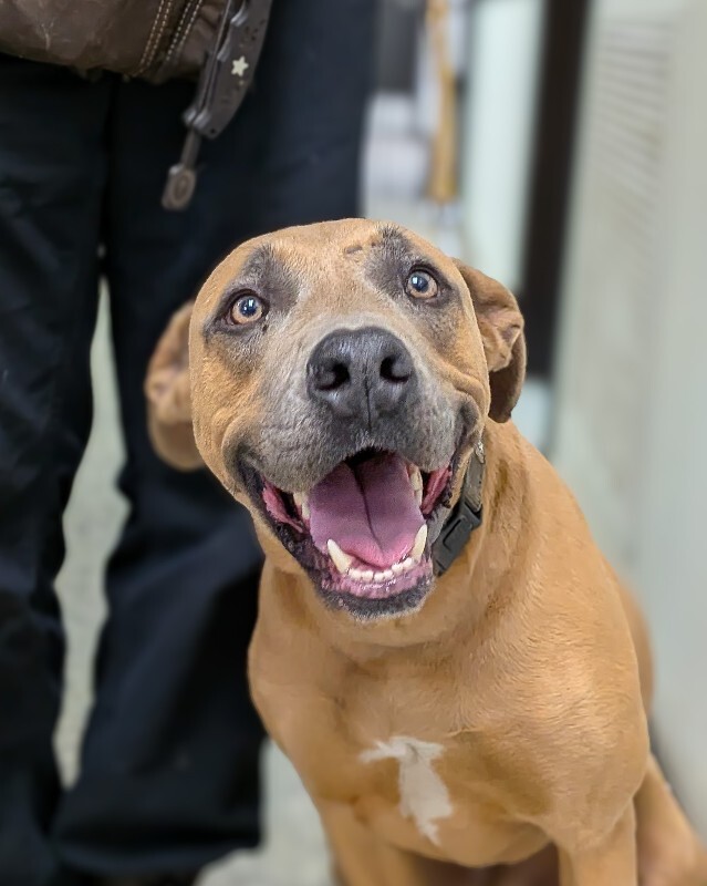 PXL 20251223 190004679.PORTRAIT 2