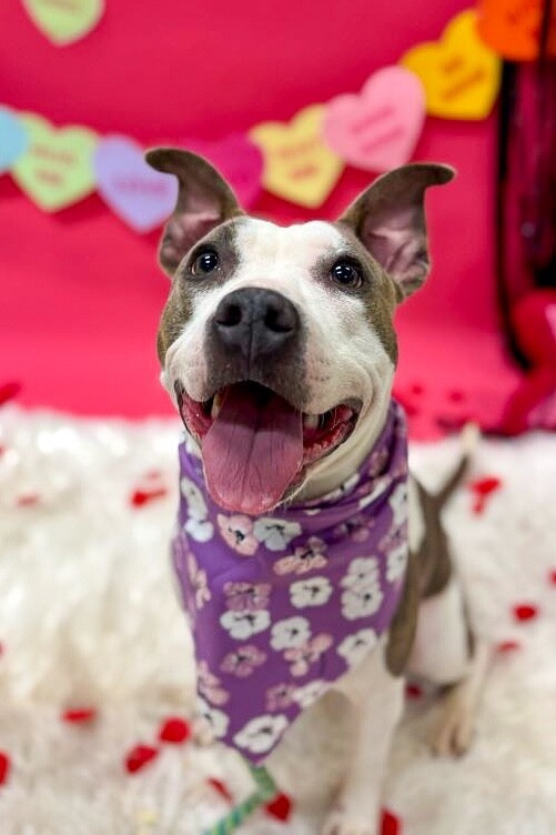 Learn More About Pabbie IMG 9437