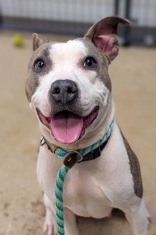 Learn More About Pabbie PXL 20260118 165851747.PORTRAIT