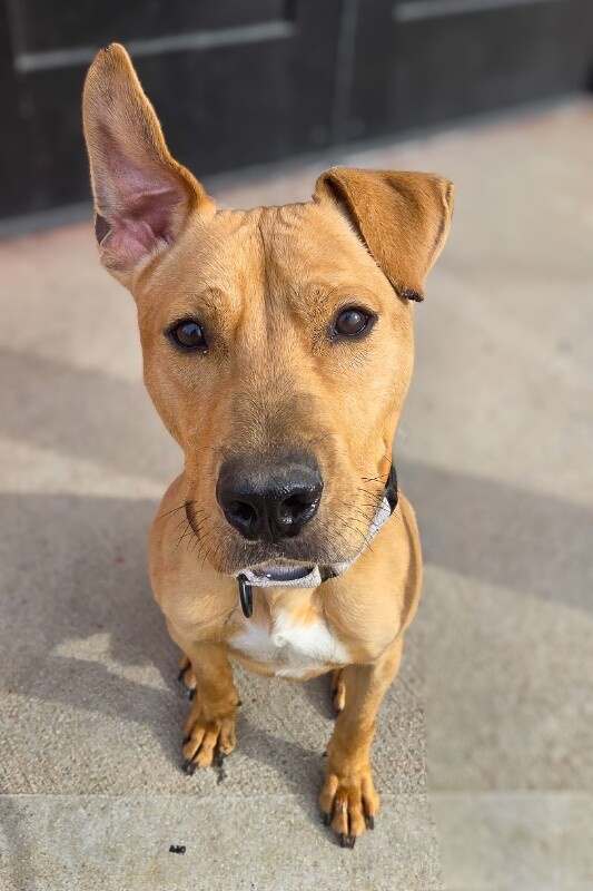 Learn More About TreeTop 20260122 124012