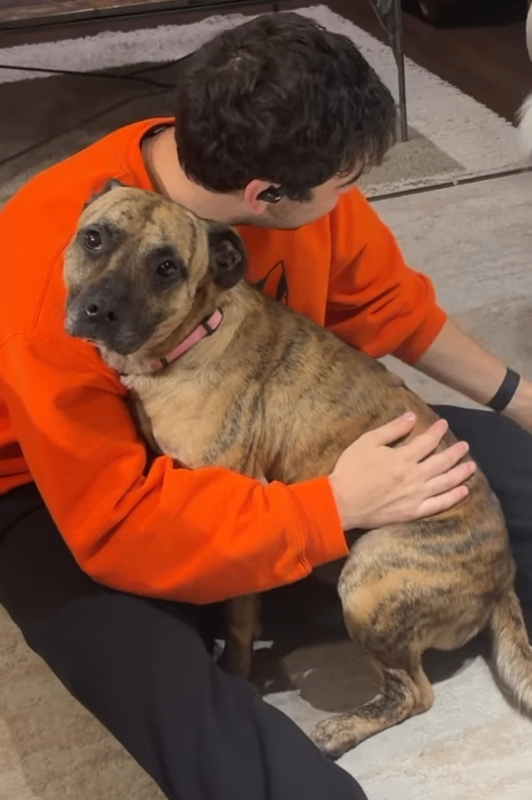 View Newby the Dog Photo #2