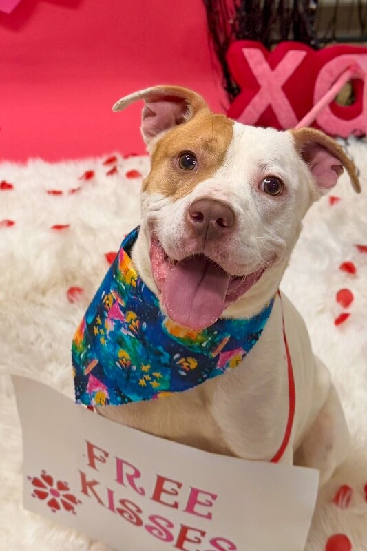 Learn More About Mrs. Claus IMG 6881